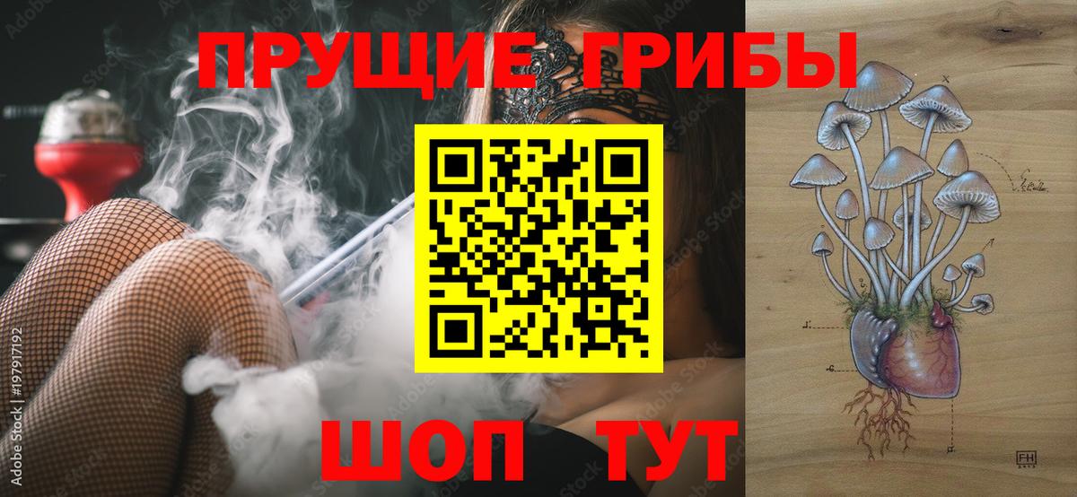Псилоцибиновые грибы GOLDEN TEACHER Учалы