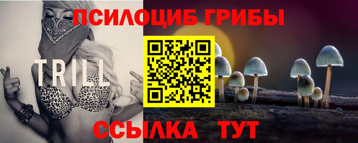 Галлюциногенные грибы ЛСД  Вход с VPN  Учалы  Галлюциногенные грибы мицелий 